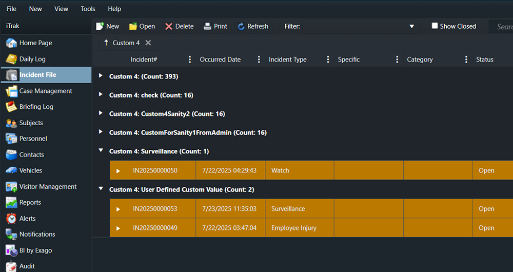 iTrak 2025.1.1 Custom Fields Grouping - Crop